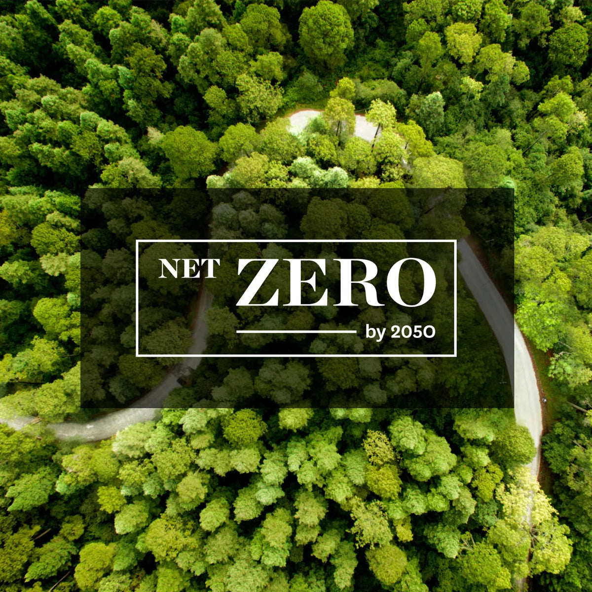 Our Sustainability Journey