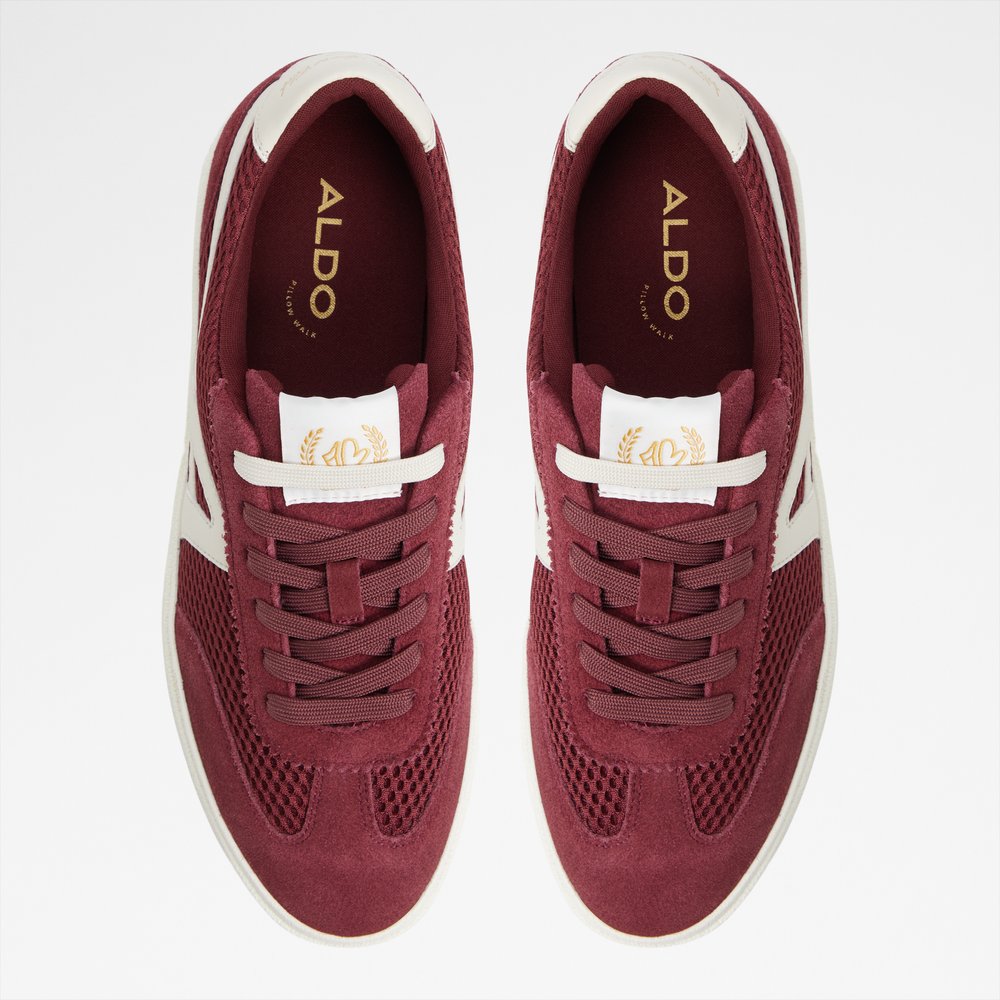 Clubtrainer - Bordo