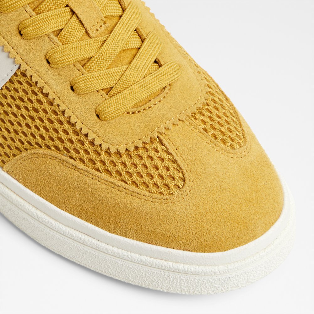 Clubtrainer