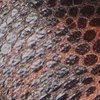 Brown Multi