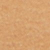 Other Dark Beige