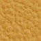 Dark Yellow