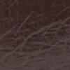 Medium Brown