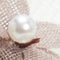 Beige Combo