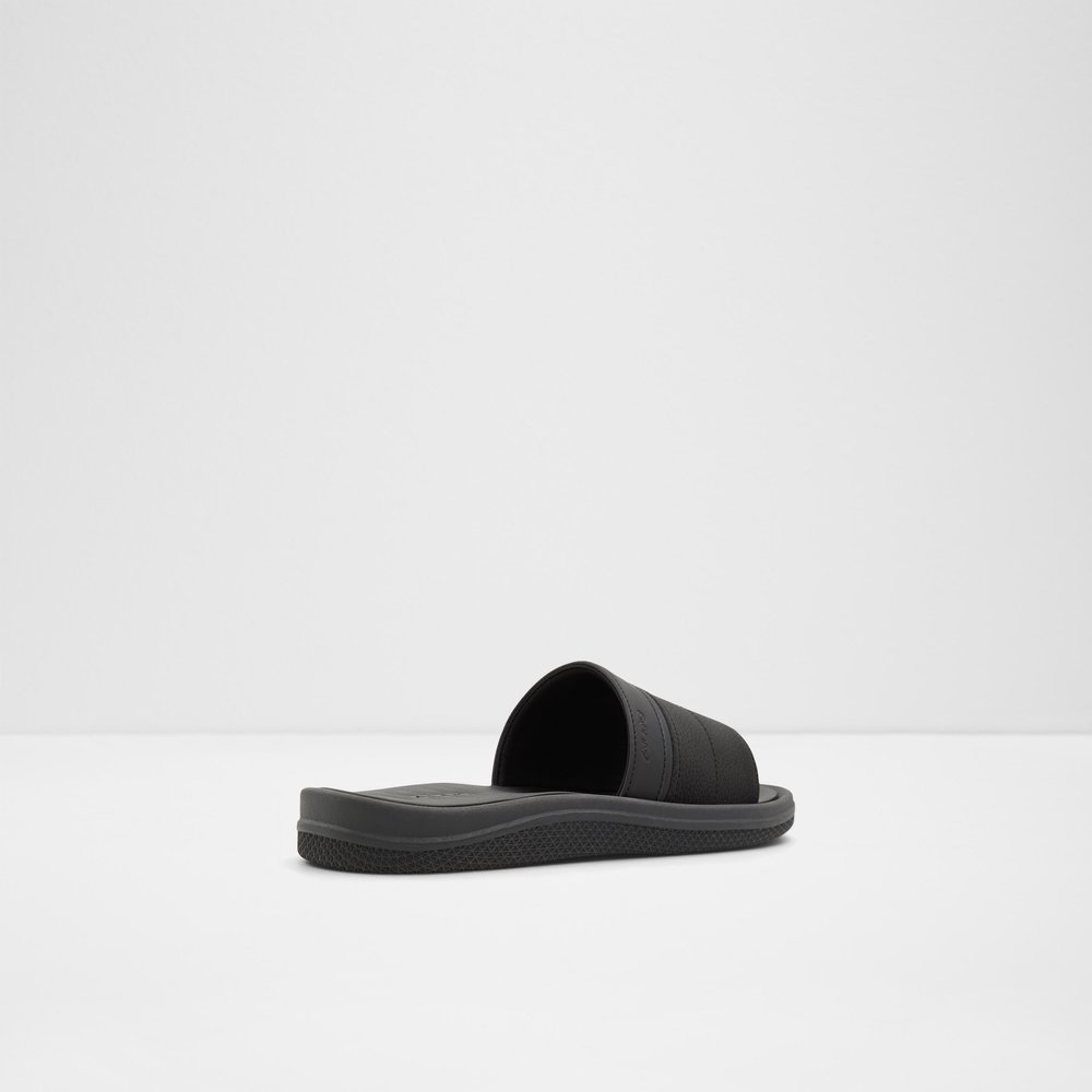 Plantago - Black